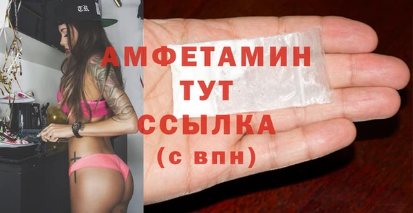 индика Зерноград