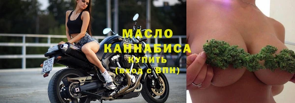 индика Зерноград