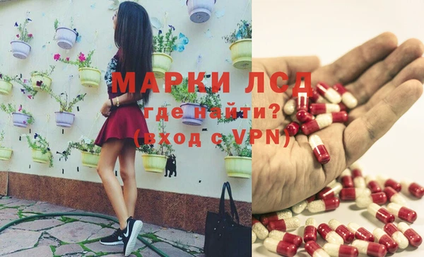 индика Зерноград